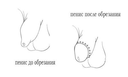 просто смешно. Российское порно измена просто смешно. Согласен