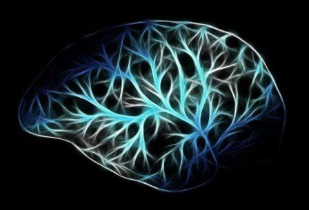 Нейропластичность, также известная как пластичность мозга, нейроэластичность или нейронная пластичность, - это способность мозга непрерывно изменяться в течение всей жизни человека