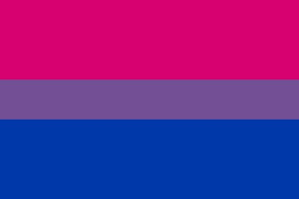 Общим символом бисексуалов является флаг бисексуальной гордости, с розовой полосой в верхней части, обозначающей гомосексуализм, одной синей полосой снизу, обозначающей гетеросексуальность, и одной пурпурной полосой в центре, представляющей собой смесь розового и голубого цвета в середине, обозначающую бисексуальность.
