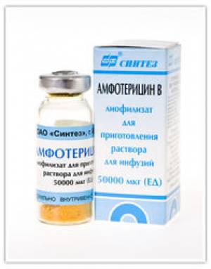 Амфотерицин