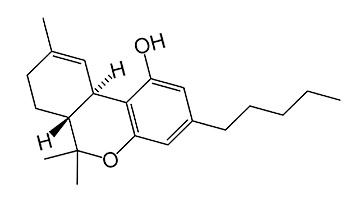  Тетрагидроканнабинол обладает свойствами анальгетика