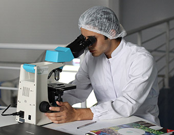  Исследования антигистаминных препаратов