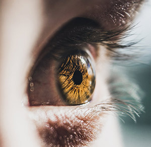  Влияние астаксантина на глаза