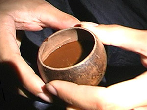  Традиционный напиток аяхуаска