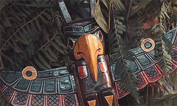  Роль аяхуаски в шаманизме