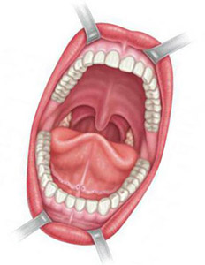босвеллия что это такое. Смотреть фото босвеллия что это такое. Смотреть картинку босвеллия что это такое. Картинка про босвеллия что это такое. Фото босвеллия что это такое босвеллия что это такое. Смотреть фото босвеллия что это такое. Смотреть картинку босвеллия что это такое. Картинка про босвеллия что это такое. Фото босвеллия что это такое