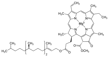 Структура хлорофилла А