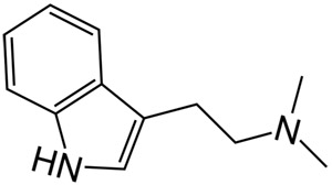 Диметилтриптамин