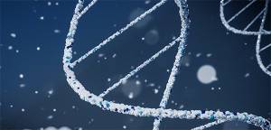 эпигенетические регуляторы