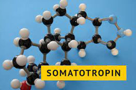 Гормон роста Соматотропин