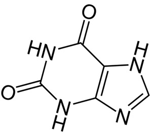 Ксантины, в частности, кофеин и его метаболит теофиллин (содержится в чае) метаболизируются тем же общим классом энзимов, которые ингибирует грейпфрут