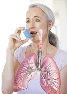 Хигенамин: легкие и астма