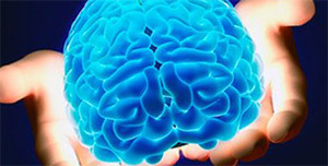 хризин что это такое. hrizin heirologia. хризин что это такое фото. хризин что это такое-hrizin heirologia. картинка хризин что это такое. картинка hrizin heirologia. Гормональный баланс человеческого организма требует к себе особенного внимания, так как гормоны управляют жизнедеятельностью всех внутренних органов. Если их хрупкий баланс будет нарушен, то атлет не сможет достигать желаемых высот в спорте. По этой причине некоторые бодибилдеры принимают добавки с хризином.