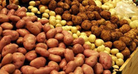 Разные виды картофеля
