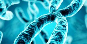 клеточное старение