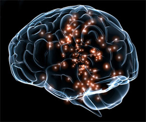 Кофеин: неврология