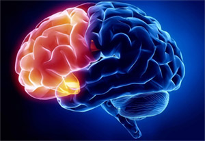 Креатин: неврология 