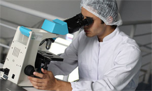 Линолевая кислота: использование в исследованиях