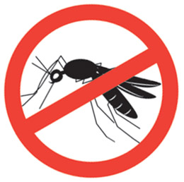 Существует несколько способов борьбы с переносчиком малярии (самкой малярийного комара Anopheles), которые могут быть эффективными при правильной реализации.