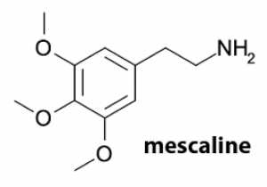  Молекула мескалина