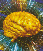 Нефирацетам и глутаминовая нейтротрансмиссия