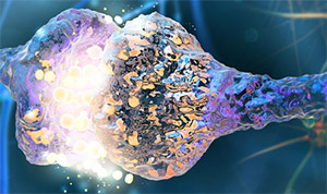 Нейропротекторы 