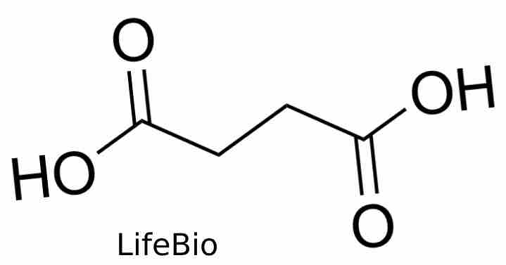 Succinic acid что это. 20210406 190519. Succinic acid что это фото. Succinic acid что это-20210406 190519. картинка Succinic acid что это. картинка 20210406 190519