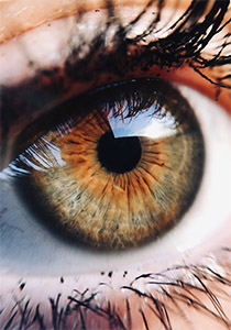 Пикеатаннол: влияние на глаза