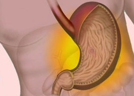 Почечный чай: желудок