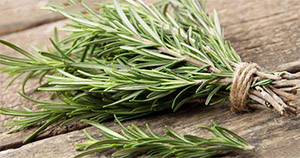 Розмарин 