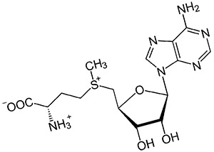 S-аденозилметионин 