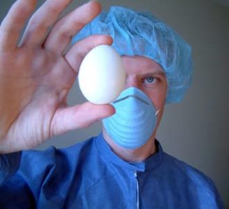 Оболочка яйца может быть заражена сальмонеллой из фекалий или окружающей среды
