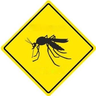 Желтая лихорадка является острым вирусным заболеванием, которое распространяется, в первую очередь, комарами вида Aedes Aegypti.