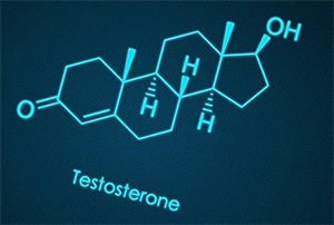 Взаимодействие экстракта Тульбагии с тестостероном