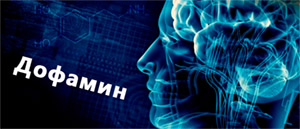 Зависимость: роль дофамина и глутамата